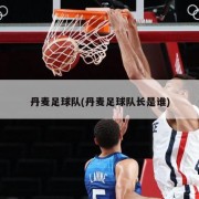 丹麦足球队(丹麦足球队长是谁)