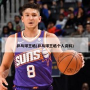 乒乓球王皓(乒乓球王皓个人资料)