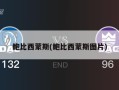 鲍比西蒙斯(鲍比西蒙斯图片)