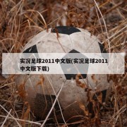 实况足球2011中文版(实况足球2011中文版下载)