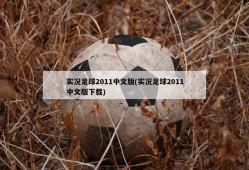 实况足球2011中文版(实况足球2011中文版下载)