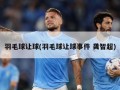 羽毛球让球(羽毛球让球事件 龚智超)