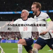 fifa街头足球2(fifa街头足球2图片)