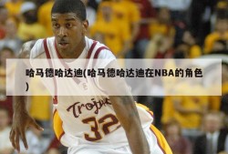 哈马德哈达迪(哈马德哈达迪在NBA的角色)