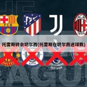 托雷斯转会切尔西(托雷斯在切尔西进球数)