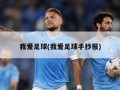 我爱足球(我爱足球手抄报)