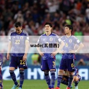 wade(瓦德西)