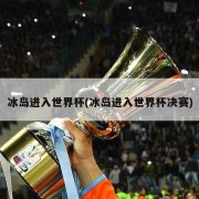 冰岛进入世界杯(冰岛进入世界杯决赛)