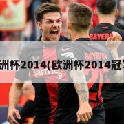 欧洲杯2014(欧洲杯2014冠军)
