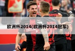 欧洲杯2014(欧洲杯2014冠军)