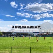 张骋宇(张骋宇最新消息)