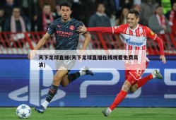 天下足球直播(天下足球直播在线观看免费高清)