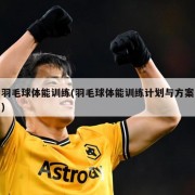 羽毛球体能训练(羽毛球体能训练计划与方案)