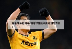 羽毛球体能训练(羽毛球体能训练计划与方案)