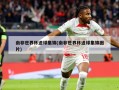南非世界杯进球集锦(南非世界杯进球集锦图片)