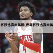 世界杯预选赛南美区(世界杯预选赛南美区名额)