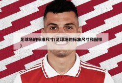 足球场的标准尺寸(足球场的标准尺寸和图样)