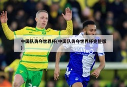 中国队勇夺世界杯(中国队勇夺世界杯完整版)