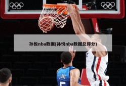 孙悦nba数据(孙悦nba数据总得分)