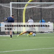 佐加顿斯对厄勒布鲁(佐加顿斯对厄勒布鲁比分预测)