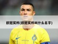 欧冠奖杯(欧冠奖杯叫什么名字)