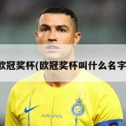 欧冠奖杯(欧冠奖杯叫什么名字)