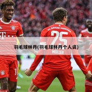 羽毛球林丹(羽毛球林丹个人资)