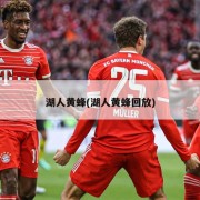 湖人黄蜂(湖人黄蜂回放)
