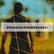世界杯冠军奖金(世界杯冠军奖金是多少)