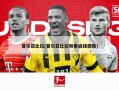 普尔兹比拉(普尔兹比拉和泰森钱德勒)