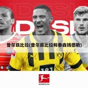 普尔兹比拉(普尔兹比拉和泰森钱德勒)