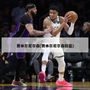 贾米尔尼尔森(贾米尔尼尔森扣篮)