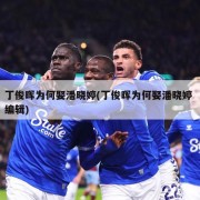 丁俊晖为何娶潘晓婷(丁俊晖为何娶潘晓婷 编辑)