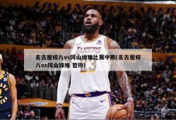 名古屋鲸八vs冈山绿雉比赛中断(名古屋鲸八vs冈山绿雉 暂停)