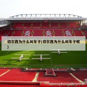 切尔西为什么叫车子(切尔西为什么叫车子呢)