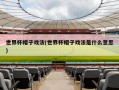 世界杯帽子戏法(世界杯帽子戏法是什么意思)
