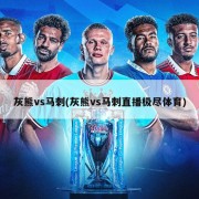灰熊vs马刺(灰熊vs马刺直播极尽体育)