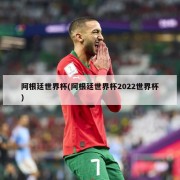 阿根廷世界杯(阿根廷世界杯2022世界杯)