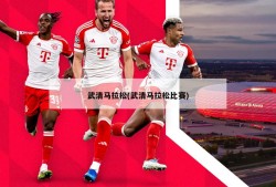 武清马拉松(武清马拉松比赛)