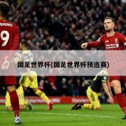 国足世界杯(国足世界杯预选赛)