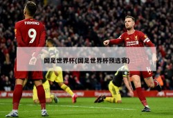 国足世界杯(国足世界杯预选赛)