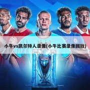 小牛vs凯尔特人录像(小牛比赛录像回放)