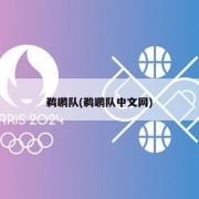 鹈鹕队(鹈鹕队中文网)