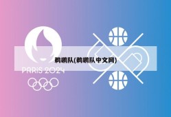 鹈鹕队(鹈鹕队中文网)