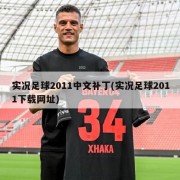 实况足球2011中文补丁(实况足球2011下载网址)