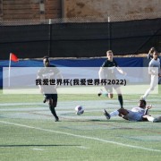 我爱世界杯(我爱世界杯2022)
