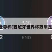 西班牙世界杯(西班牙世界杯冠军是哪一年)