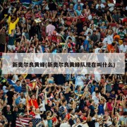 新奥尔良黄蜂(新奥尔良黄蜂队现在叫什么)