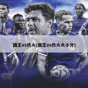 国王vs热火(国王vs热火大小分)