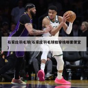石家庄羽毛球(石家庄羽毛球拍穿线哪里便宜)